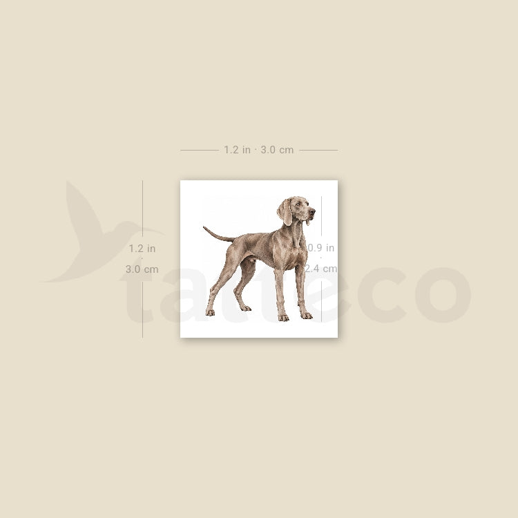 Weimaraner Temporary Tattoo - Set of 3