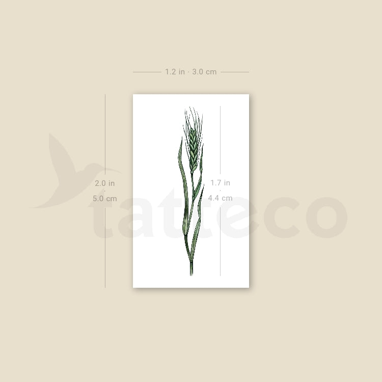Small Green Wheat By Ann Lilya Temporary Tattoo - Set of 3