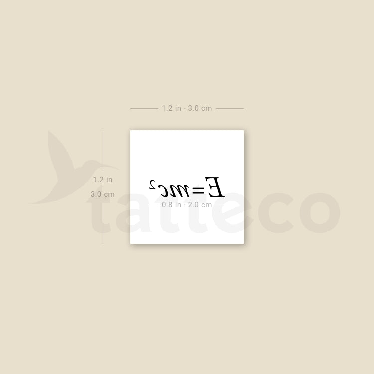 E = Mc2 Temporary Tattoo - Set of 3
