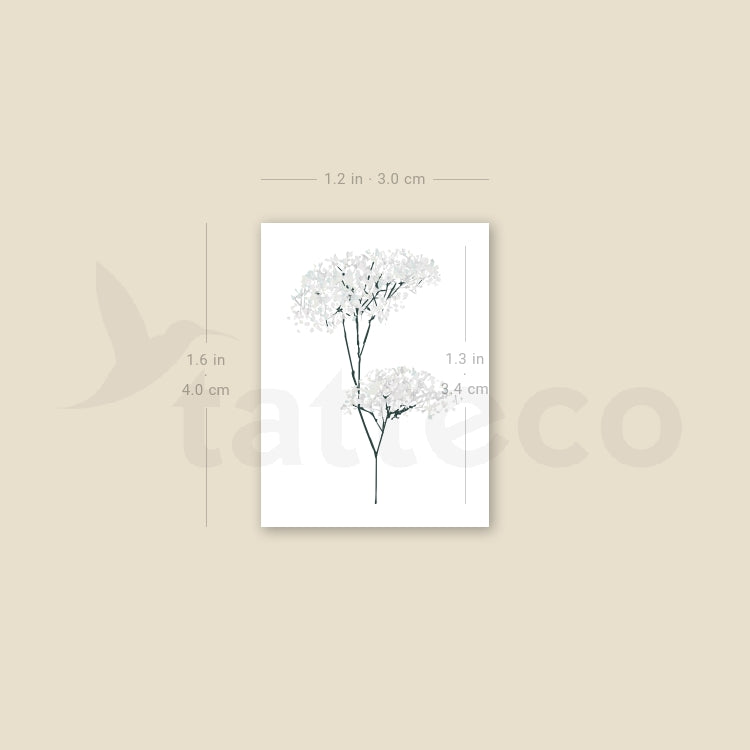 Gypsophila Temporary Tattoo - Set of 3