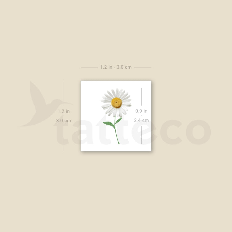 Small Daisy Temporary Tattoo - Set of 3