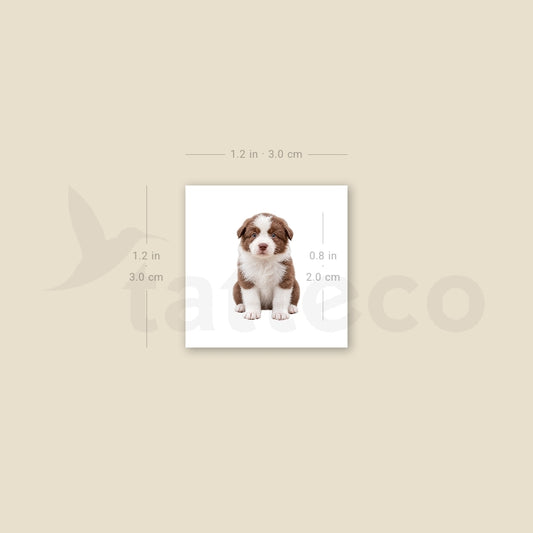 Chocolate Border Collie Puppy Temporary Tattoo - Set of 3