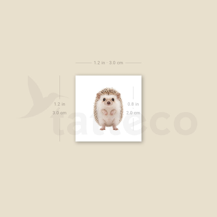 Baby Hedgehog Temporary Tattoo - Set of 3