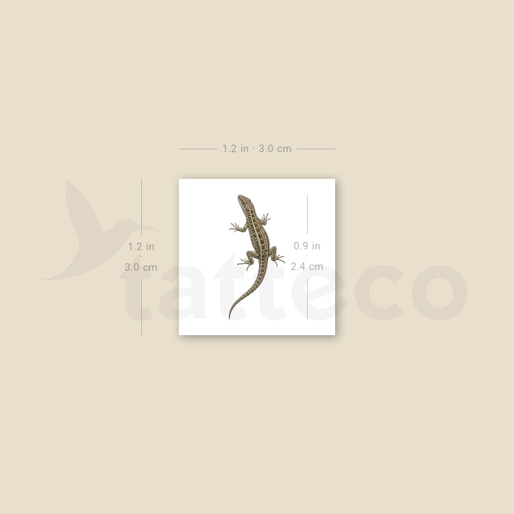 Lizard Temporary Tattoo - Set of 3