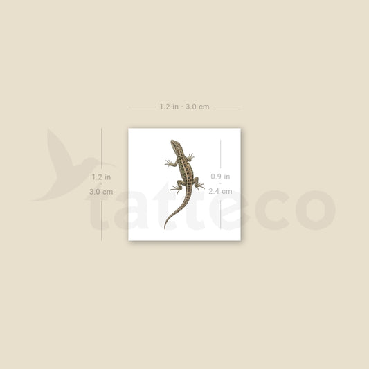 Lizard Temporary Tattoo - Set of 3