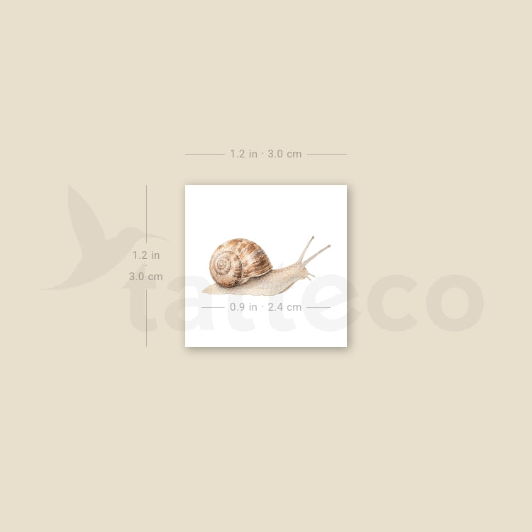 Watercolor Snail Temporary Tattoo - Set of 3