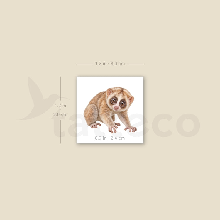 Baby Slow Loris Temporary Tattoo - Set of 3