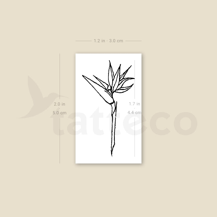 Fine Line Bird Of Paradise Temporary Tattoo - Set of 3