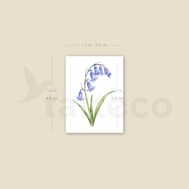 Bluebell Temporary Tattoo - Set of 3