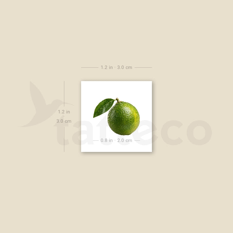 Little Lime Temporary Tattoo - Set of 3