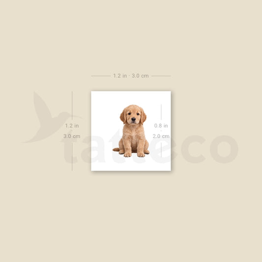 Seated Golden Retriever Puppy Temporary Tattoo - Set of 3