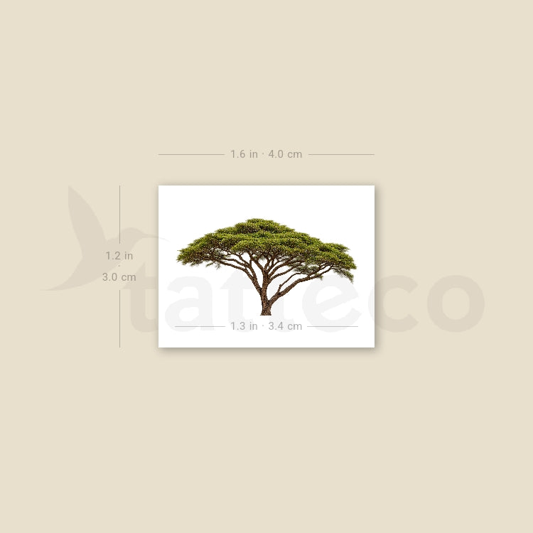 Acacia Temporary Tattoo - Set of 3