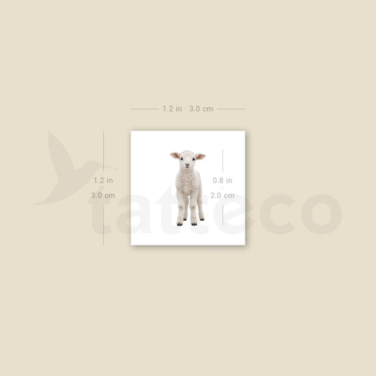 Baby Lamb Temporary Tattoo - Set of 3