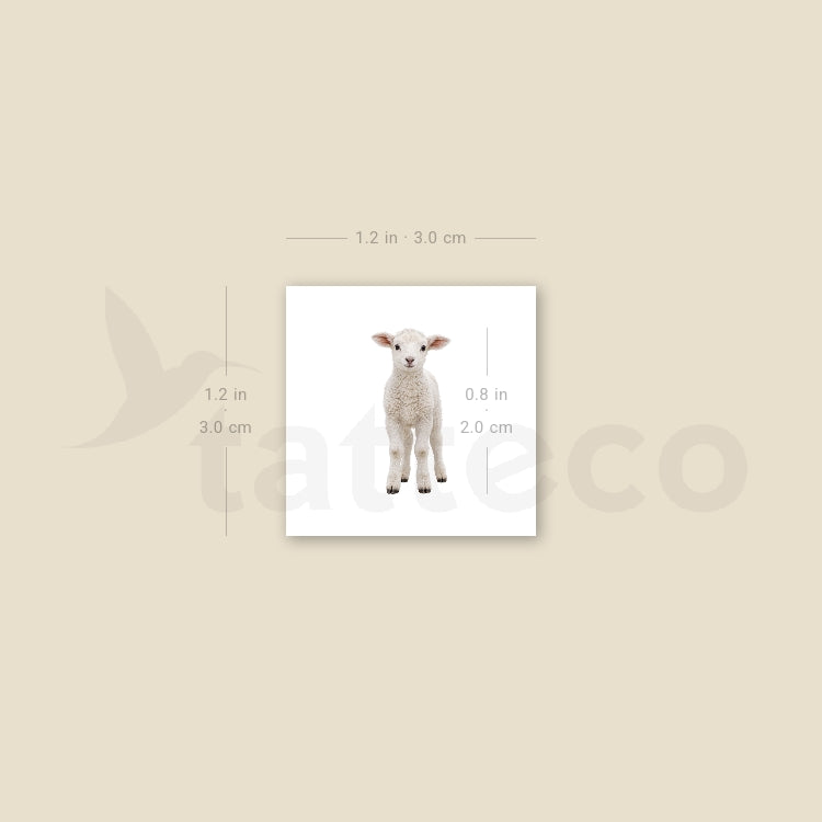Baby Lamb Temporary Tattoo - Set of 3
