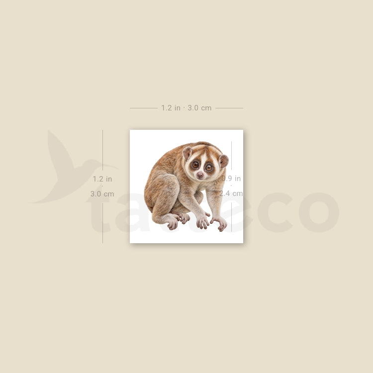 Slow Loris Temporary Tattoo - Set of 3