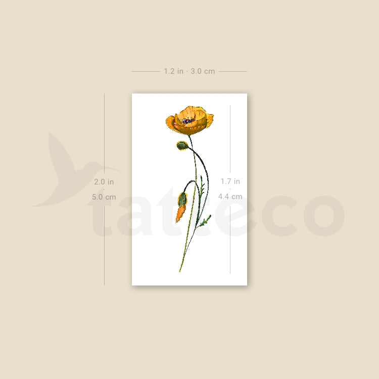 California Poppy By Lena Fedchenko Temporary Tattoo - Set of 3