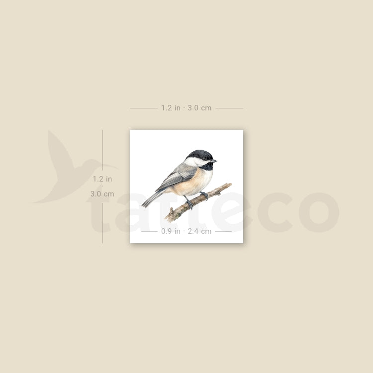 Black-capped Chickadee Temporary Tattoo - Set of 3