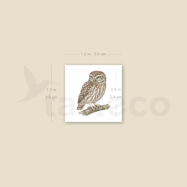 Little Owl Temporary Tattoo - Set of 3