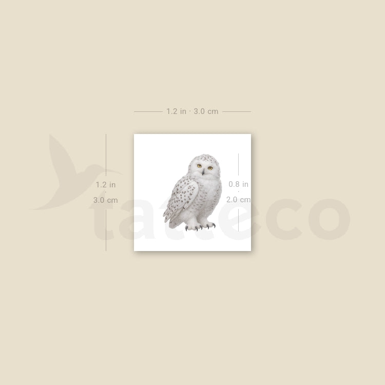 Baby Snowy Owl Temporary Tattoo - Set of 3