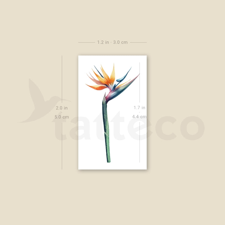 Watercolor Bird Of Paradise Temporary Tattoo - Set of 3