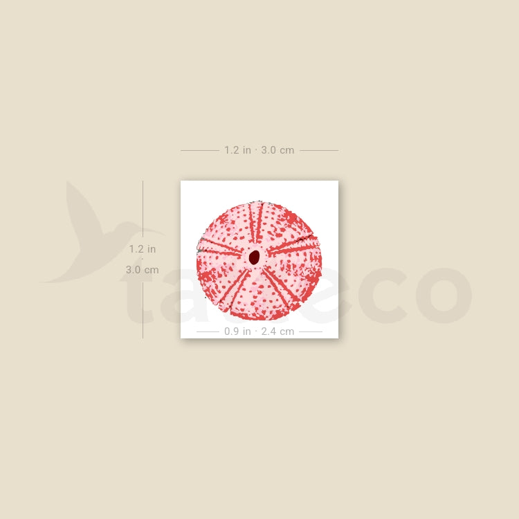 Red Sea Urchin Shell Temporary Tattoo - Set of 3