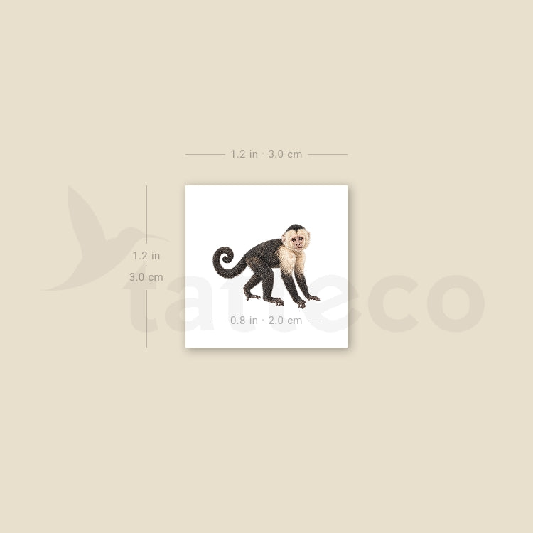 Capuchin Monkey Temporary Tattoo - Set of 3