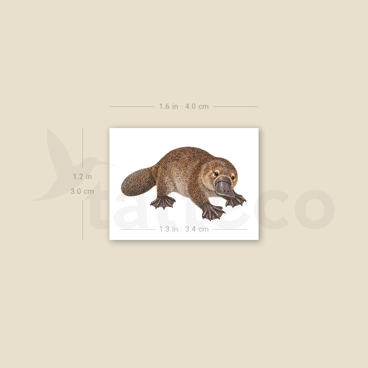 Platypus Temporary Tattoo - Set of 3