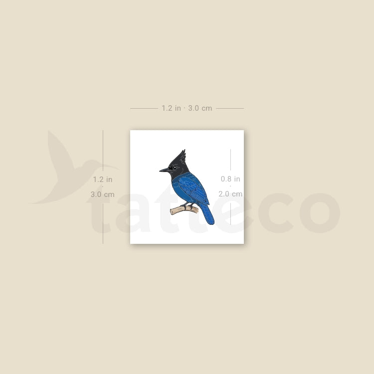 Steller's Jay Temporary Tattoo - Set of 3