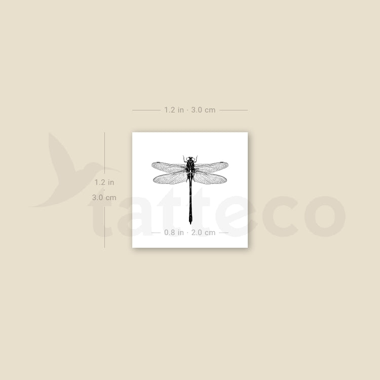 Little Illustrative Dragonfly Temporary Tattoo - Set of 3