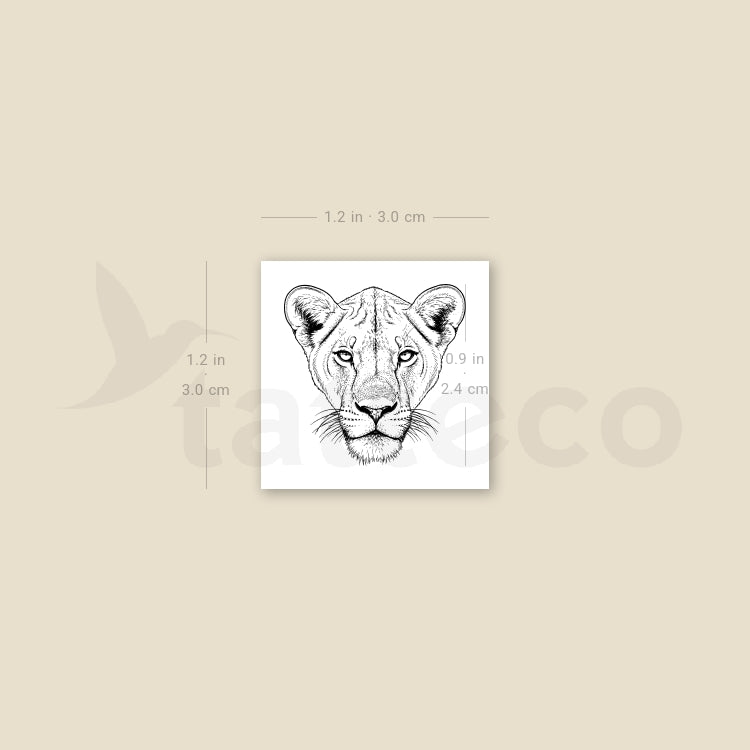 Lioness Portrait Temporary Tattoo - Set of 3