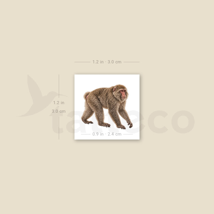 Macaque Temporary Tattoo - Set of 3