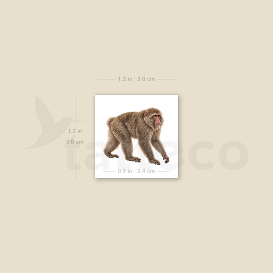 Macaque Temporary Tattoo - Set of 3
