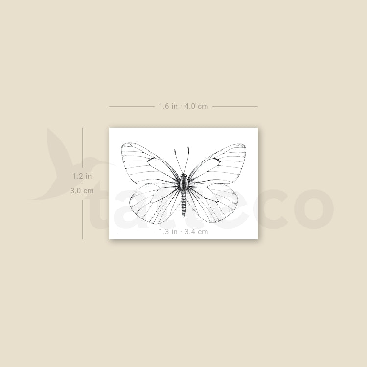Aporia Crataegi Butterfly Temporary Tattoo - Set of 3