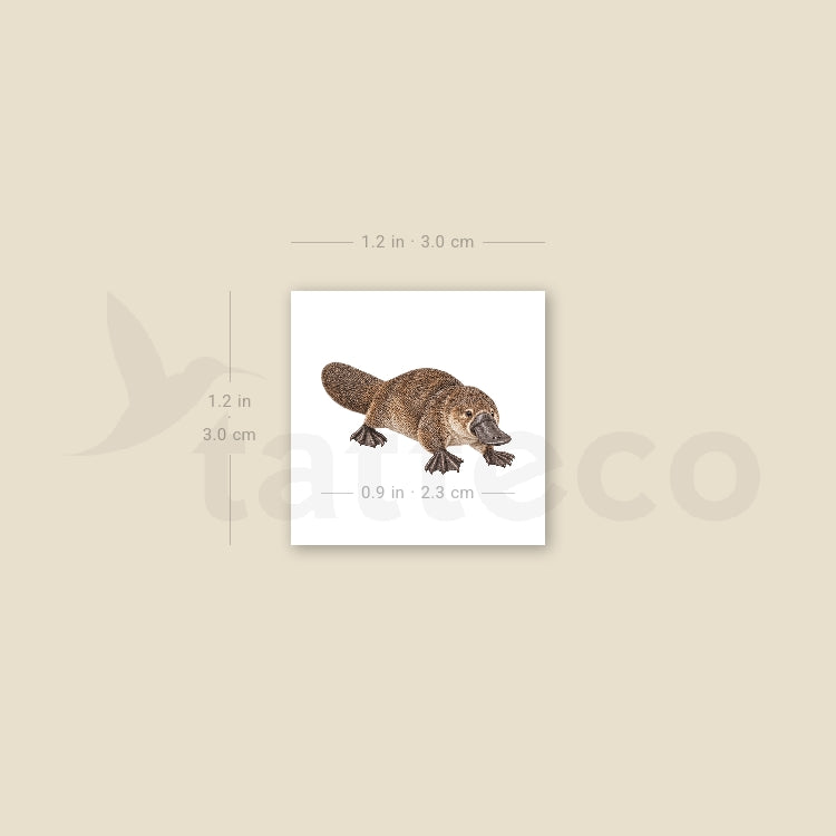 Watercolor Platypus Temporary Tattoo - Set of 3