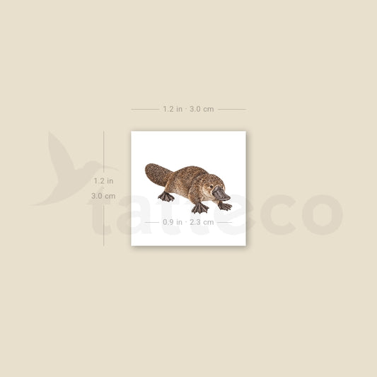 Watercolor Platypus Temporary Tattoo - Set of 3