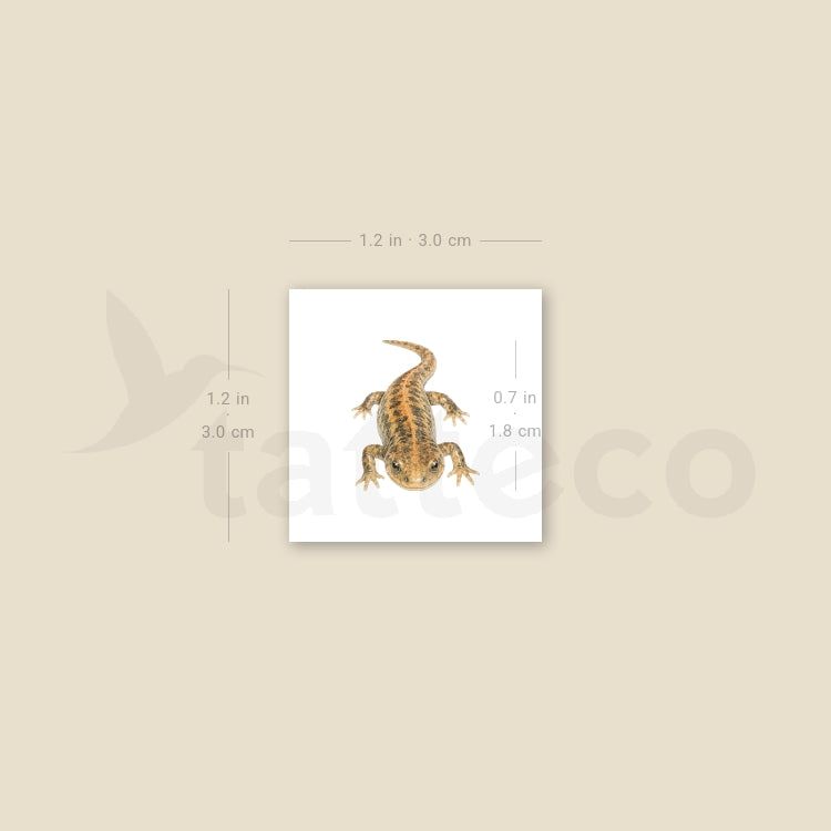 Salamander Temporary Tattoo - Set of 3