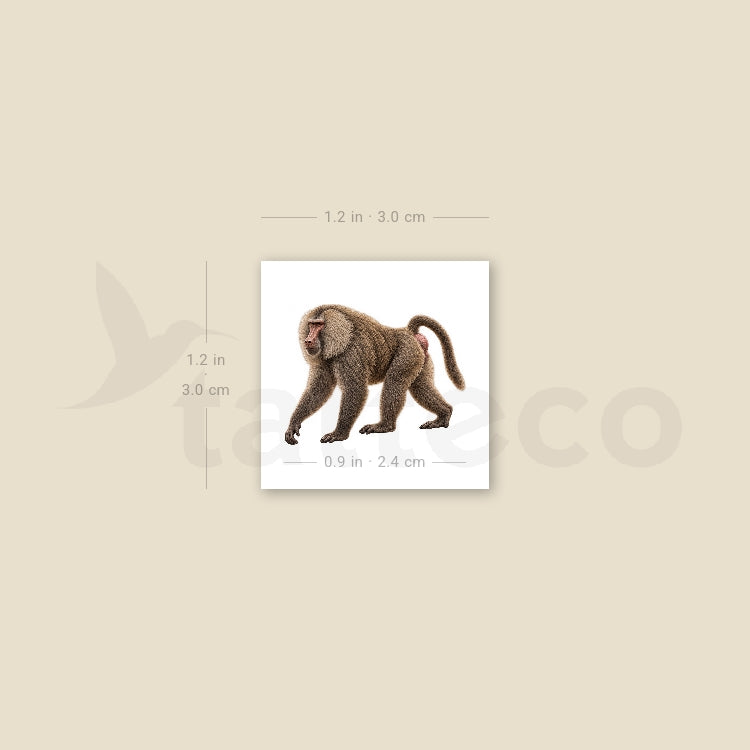 Baboon Temporary Tattoo - Set of 3