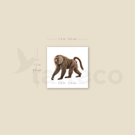 Baboon Temporary Tattoo - Set of 3
