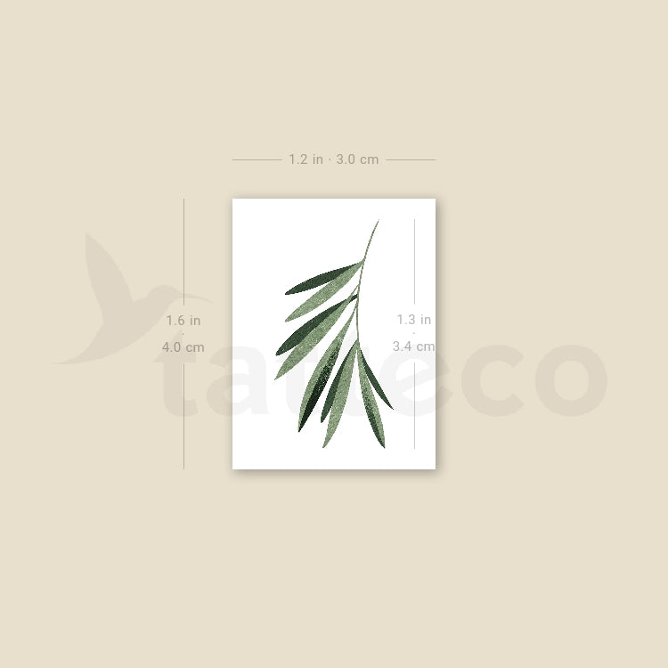 Willow Leaf By Ann Lilya Temporary Tattoo - Set of 3