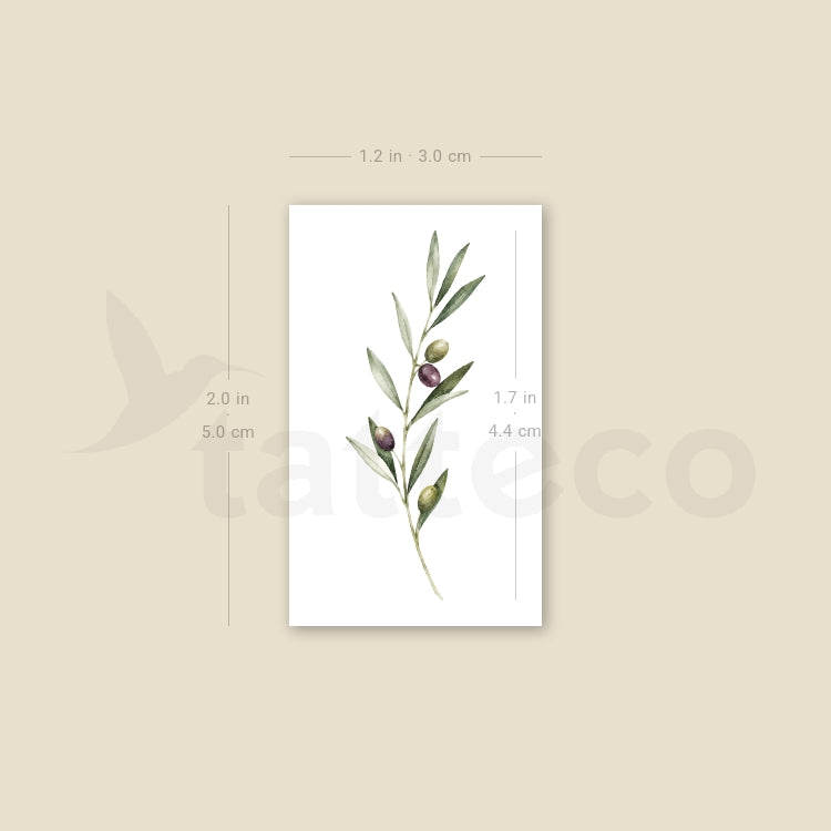 Watercolor Olive Branch Temporary Tattoo - Set of 3