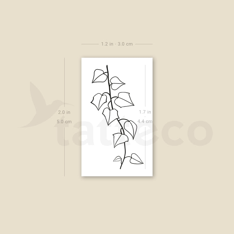 Ivy Plant Temporary Tattoo - Set of 3