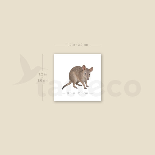 Bandicoot Temporary Tattoo - Set of 3