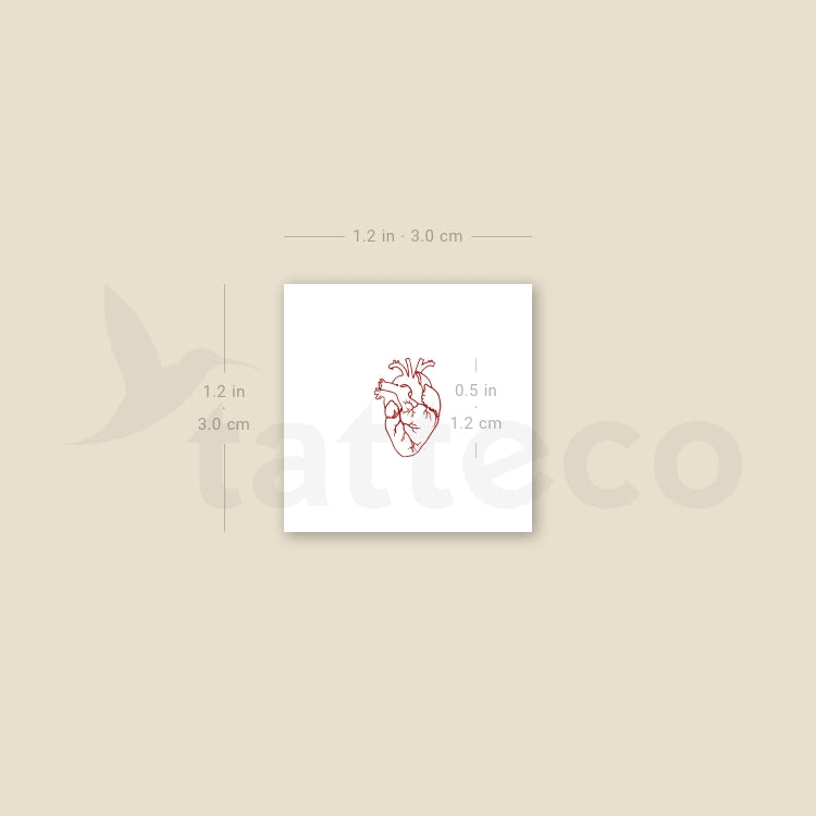 Tiny Red Anatomical Heart Temporary Tattoo - Set of 3