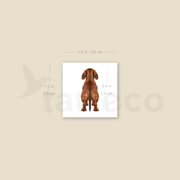 Dachshund Back View Temporary Tattoo - Set of 3
