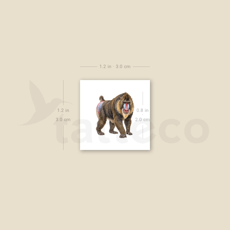 Mandrill Temporary Tattoo - Set of 3