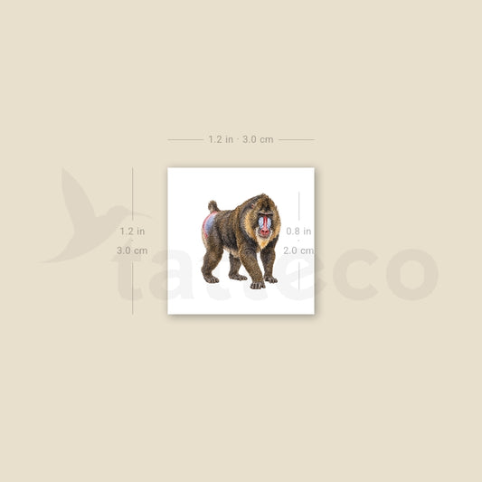 Mandrill Temporary Tattoo - Set of 3