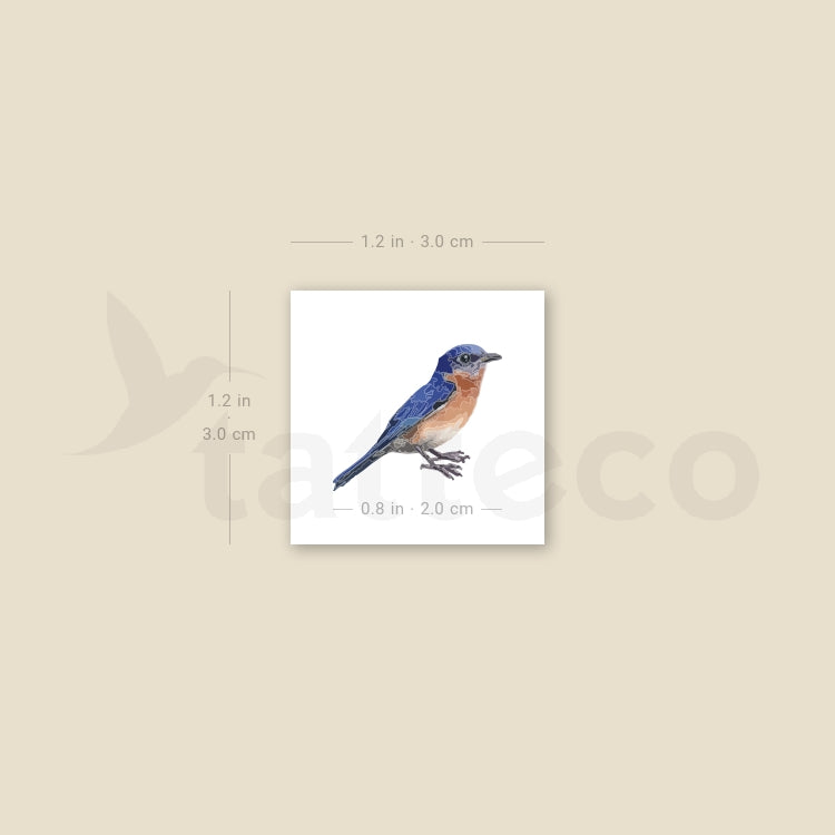Eastern Bluebird Temporary Tattoo - Set of 3