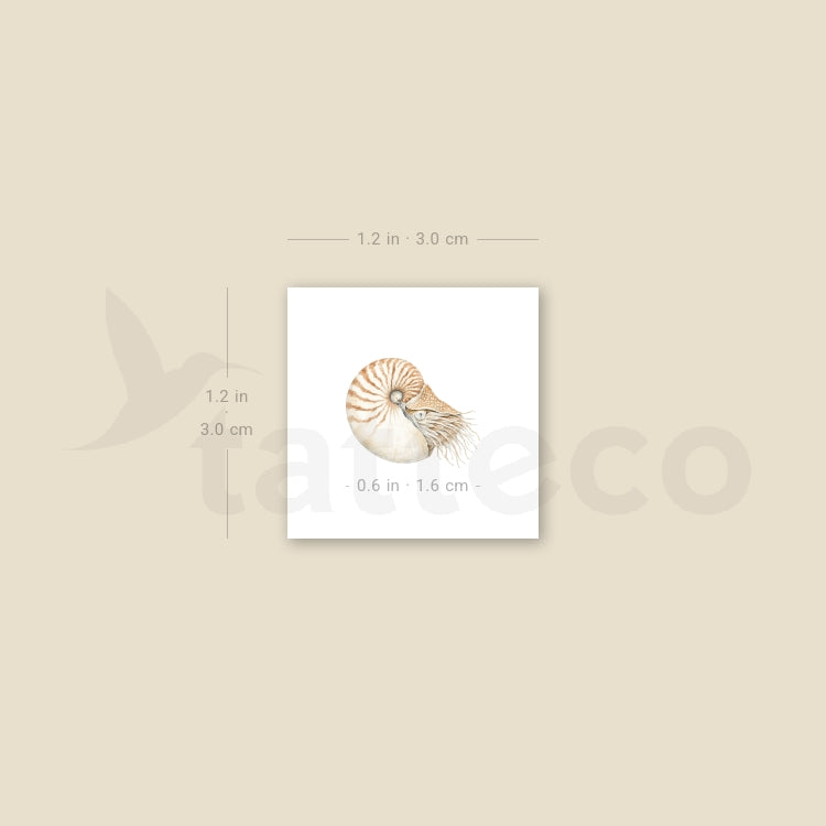 Nautilus Temporary Tattoo - Set of 3