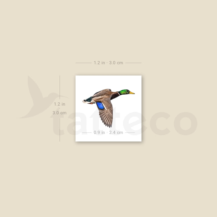 Flying Mallard Temporary Tattoo - Set of 3