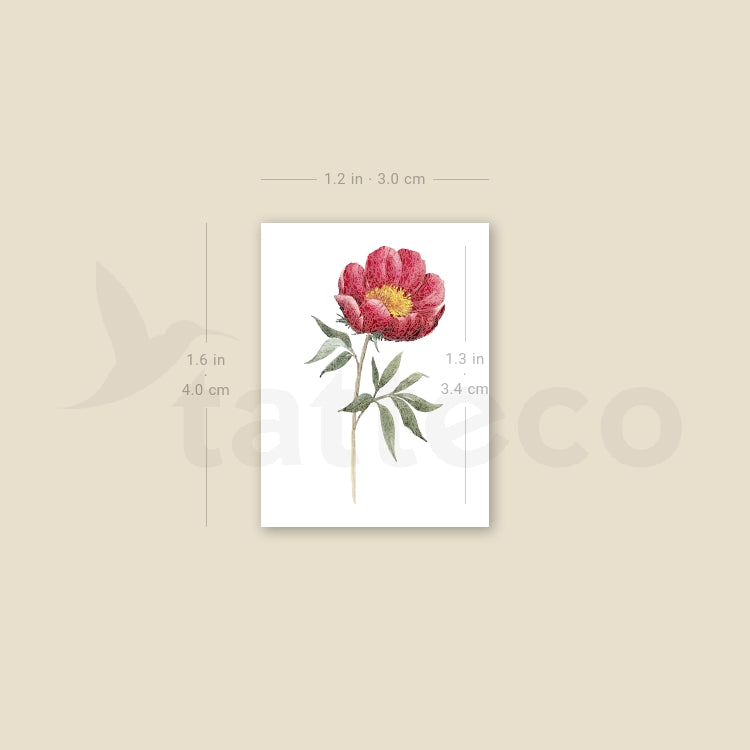 Garnet Peony Temporary Tattoo - Set of 3